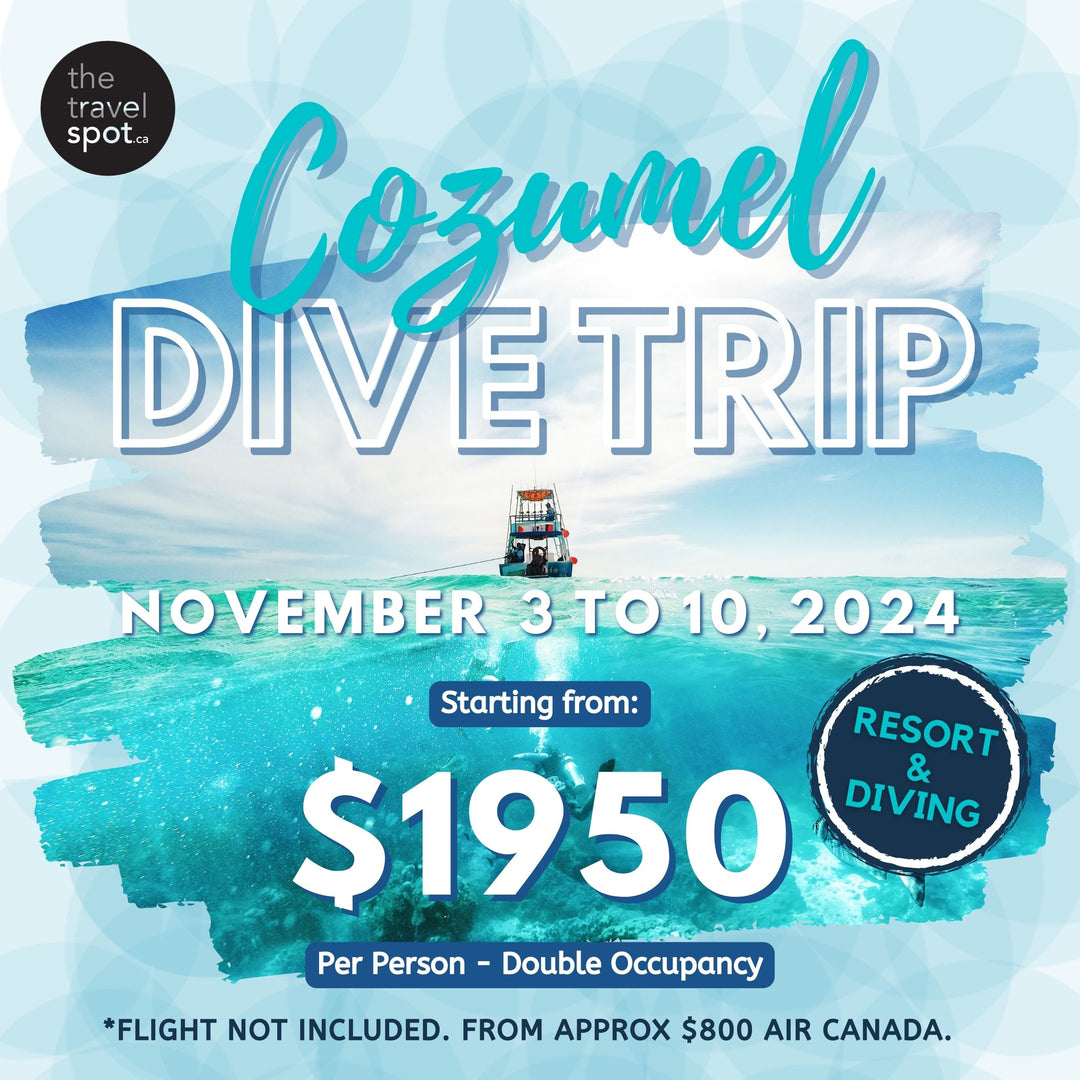 Cozumel Dive Trip 2024