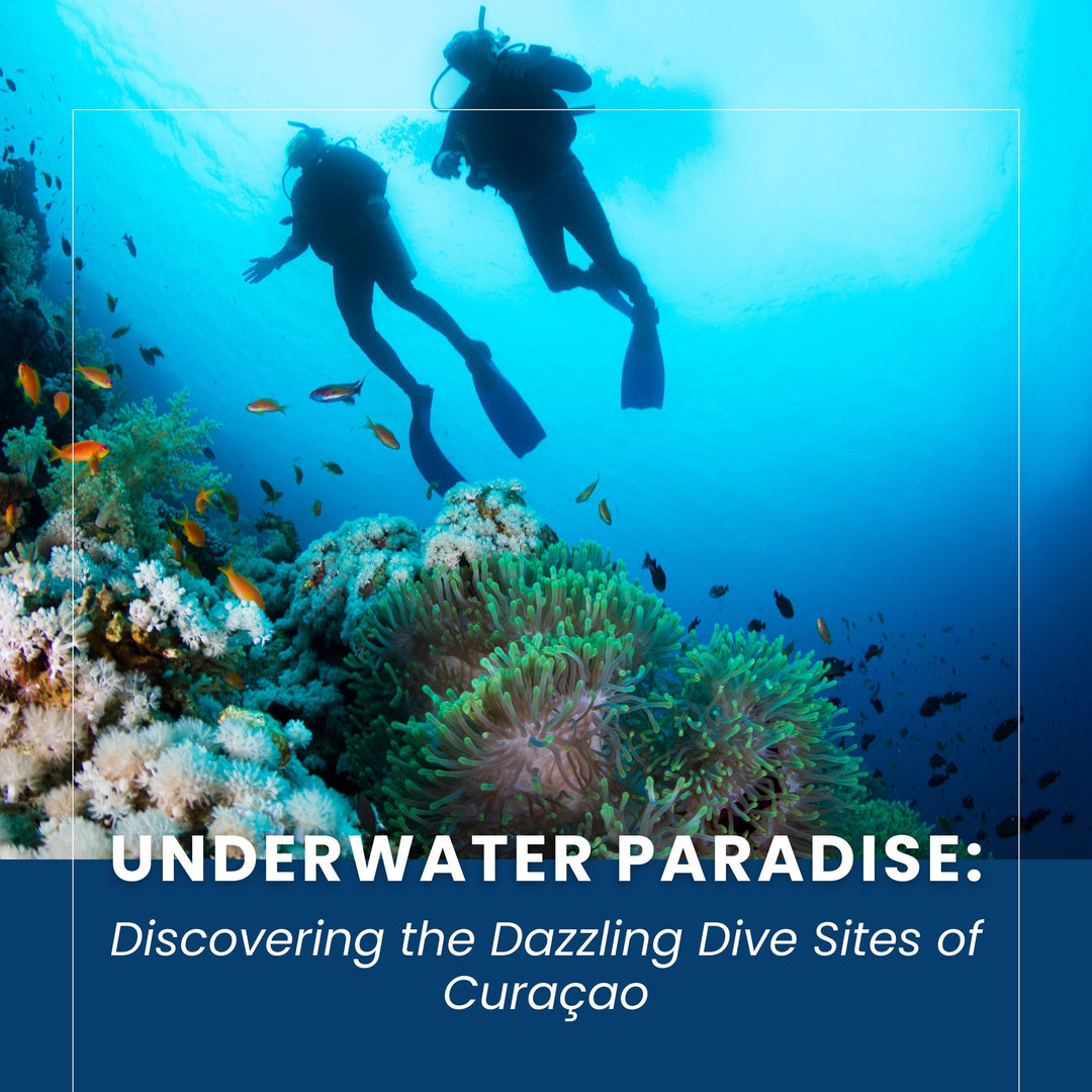 Underwater Paradise: Discovering the Dazzling Dive Sites of Curaçao