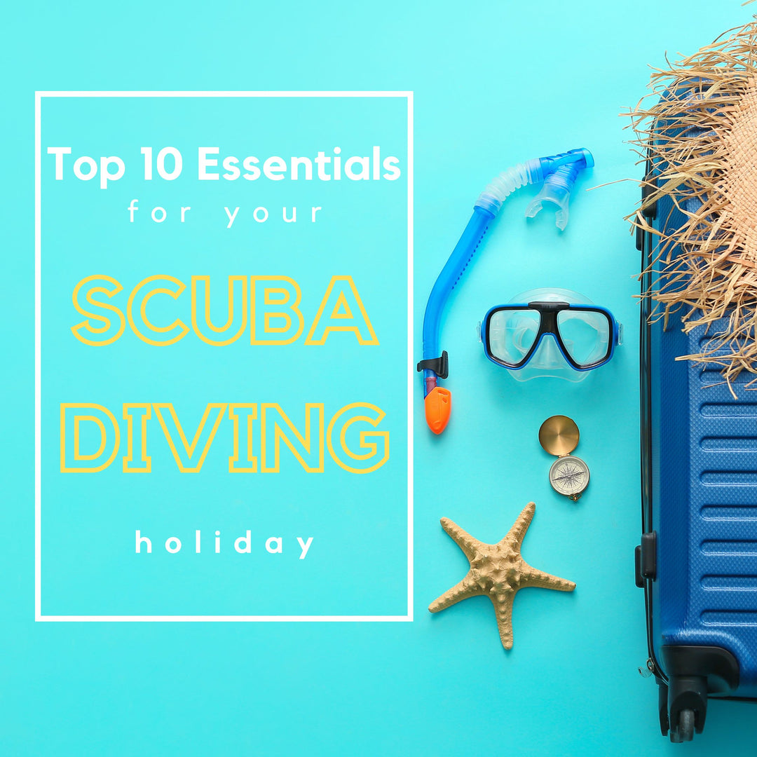 Top 10 Essentials for Scuba Diving Holiday